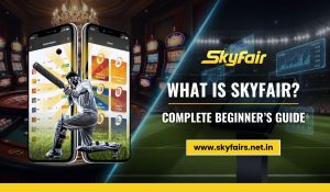 Read more about the article What is Skyfair? Complete Beginner’s Guide